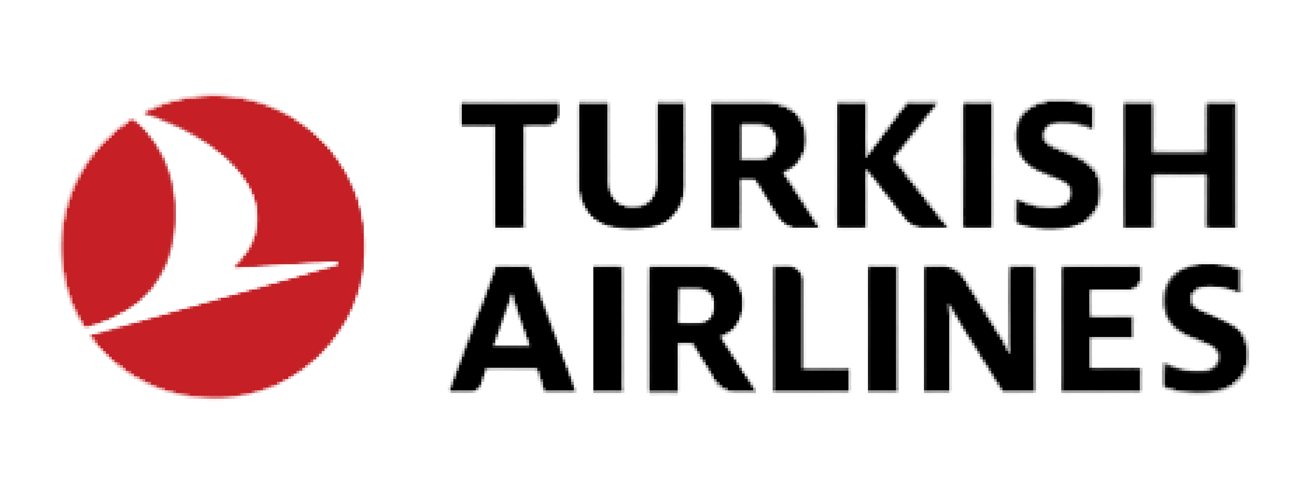 Agent Logo 12